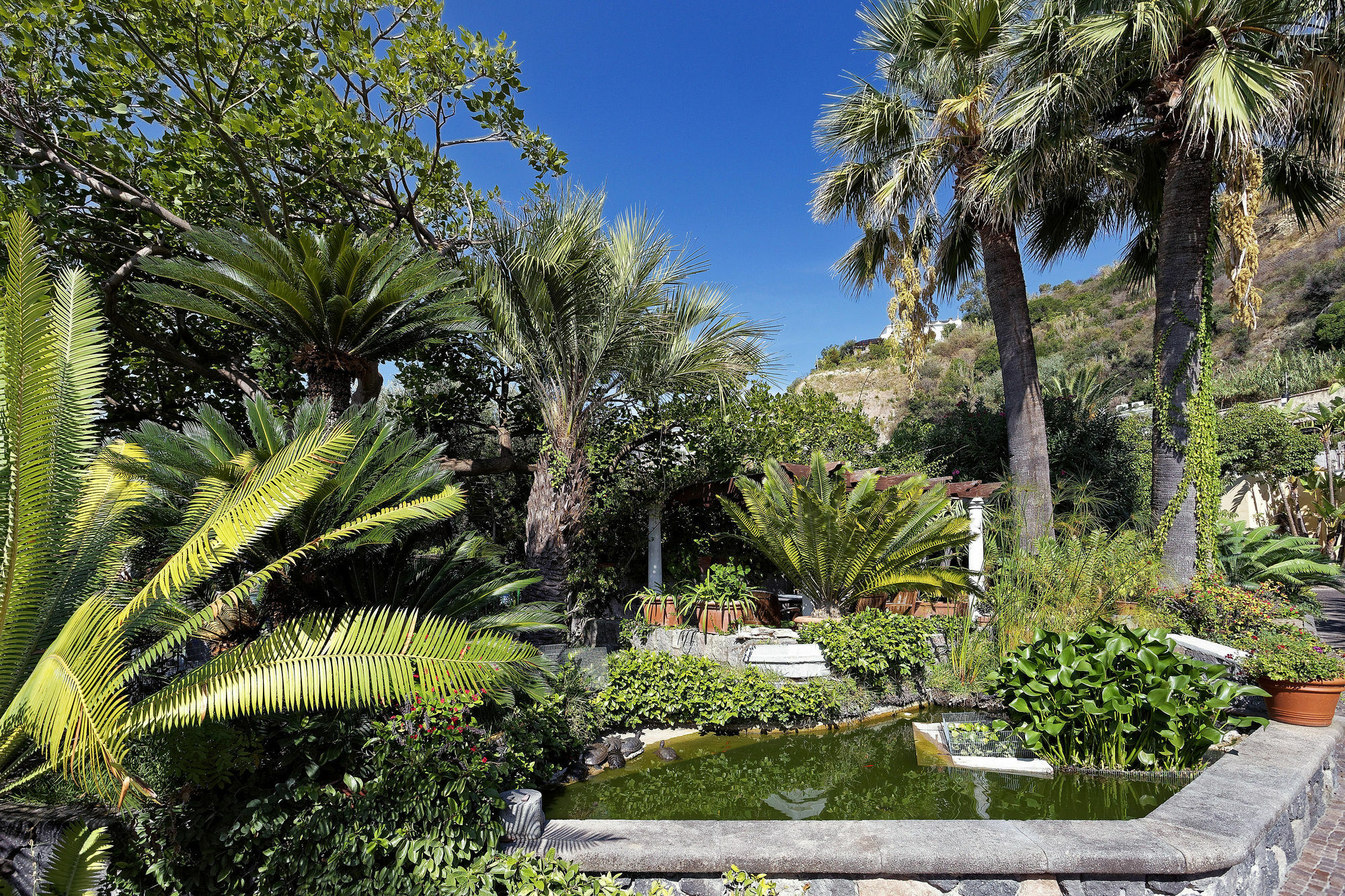 Hotel Parco Smeraldo Terme Barano dʼIschia Exterior foto